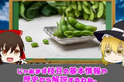 一生その野菜しか食えませんってなったら何とは選ぶ？