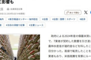 2024年産の備蓄米､7業者が納入せず高値転売←地味にやばいよな