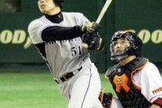 【悲報】阪神タイガースさん、桜井広大を超える生え抜きが10年間出てこない