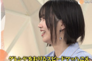 中西アルノちゃんの弟が小学生の時に作った俳句ワロタｗ【乃木坂46】