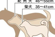 ニホンオオカミはどこへ消えたのか？ イヌとニホンオオカミの遺伝子解析からわかったこと  3/21