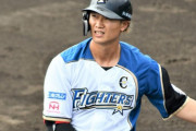 日ハム西川遥輝 .315 4本 33打点 22盗塁 OPS.848 ←今年ＦＡだけどどこが獲るの？