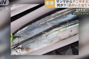 パック内のサンマに“アニサキス”30匹「あのレベル感はない」…“温度管理”失敗か