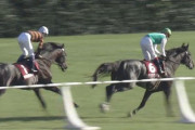 【競馬】ヤマカツ池添の大逃げ宣言とは何だったのか？？糞スローに落として馬鹿なの？