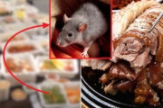 韓国人「韓国人もビックリ！どうしたら生きたネズミが料理に混ざるの？」豚足屋の出前料理から生きたネズミが出て来る事件が発生‥　韓国の反応