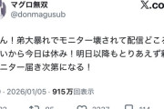 【悲報】女の子配信者、弟が大暴れしたせいで配信どころではなくなるｗｗｗｗ
