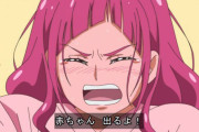 （?´ん`）プリキュアは放送中結婚報告禁止の契約にしろ！プロ意識がなさすぎる！