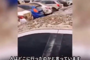 中国 洪水で水没した沢山の車が空き地に放置される 人間はどこへ行ったのか？（動画あり）