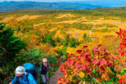 【青森】毛無岱で紅葉が見ごろに　登山客ら笑顔　北八甲田
