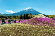 【悲報】山梨県、富士山しかない