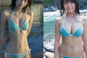 【画像】ガリとムチが同じビキニを着た結果