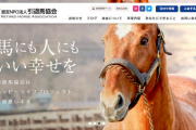 『ウマ娘』ブームで競走馬を殺処分させない『引退馬支援』の輪が広がる、自発的に支援に乗り出すファンも