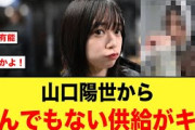おひさま大感謝、山口陽世からとんでもない供給がキタ！【日向坂46】