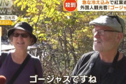 【ゴージャス】日光の紅葉に外国人観光客が殺到！駐車場で車中泊やキャンプも…そば店「8月中ずっといた人も」