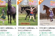 【悲報】ウマ娘オタクさん、今度は本物のウマの写真で勝手に金儲け。牧場「馬主に許可なく商業利用しないで」