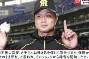 阪神・守屋功輝投手「DV否定会見」に妻が反論