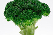 「ブロッコリー」←誰想像したｗｗｗｗ