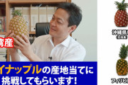 【動画】国民･玉木代表「台湾･フィリピン･沖縄産のパイナップルを食べ比べて産地当てしてみた！」