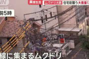 新居にムクドリの群れ、夕方から朝にかけて騒音　住民「長くは住めない」