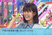 ついに二期生にまで･･･毎年焦げてるとメンバーにイジられる欅坂46尾関梨香、こんがり焼けた姿で番組に登場【欅って、書けない？】