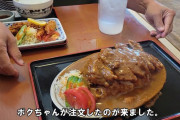 【画像】このレベルのカツカレー大盛り(1000円)に払いたい金額