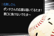 【朗報】たまべヱ、バファローズポンタを励ます