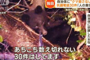 クマ抗議電話女「熊を殺すな！人間が悪いの！私は都会住みだけど！！｣