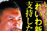 なぜ“生きにくい”人々は「れいわ新選組」を支持するのか？『「れいわ現象」の正体』に「電車の中だったのに涙が出てきた」と反響続出    12/31