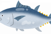 マグロ「高いです、飽きます、火を通したらゴミです」←こいつが魚の代表ヅラしてる理由