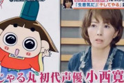 【正論】声優「安倍やめろ！という人、他の『誰』に『何をしてもらいたい』のか教えて欲しい」