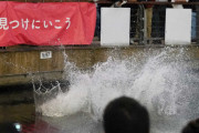 関西人「優勝うれしいー！川へ飛び込も」←この発想