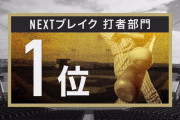 プロ野球選手100人分の1位　NEXTブレイク打者部門