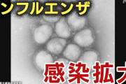 【悲報】 インフルエンザ、去年の450倍ｗｗｗｗｗ