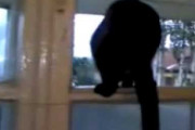 本物の猫の鳴き声動画 普段は人間を欺いていたことが判明