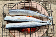 七輪買って炭火で秋刀魚焼きたいけど、経験者きて