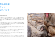 【悲報】話題の子ザル、炎上騒動に動物園側が異例の声明発表するｗｗｗｗ