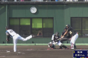 【朗報】日　ハ　ム　田　中　瑛　斗　覚　醒　