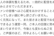 【緊急】みけねこ(潤羽るしあ)さん、エペ祭りから追い出されて病む。活動お休みに