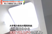 「国民をなめてるとしか思えない」再エネで4月から年1万円負担増…中国企業の “影響” 発覚で河野太郎氏に集まる憤激
