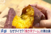 【朗報】タイで空前の日本焼き芋ブーム！！！