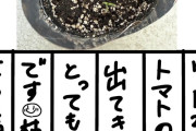 土居楓奏のトマト日記ｷﾀ――――(ﾟ∀ﾟ)――――!!