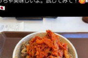 X民「韓国人ごめん！キムチを牛丼に乗せたらめっちゃ美味いわ！(爆受けやろなぁ…ｗ)」韓国人「…」