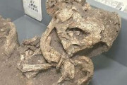 【考古学】「ウソだと思った」奇跡の大発見…4000年前の「お宝」100万点が続々出土 福島