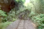 【動画】大分で特急列車が倒木に衝突。その瞬間が乗り鉄に撮影される。