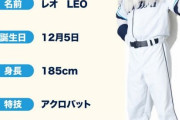 【悲報】西武ライオンズのマスコットのレオ、体調不良のため休養