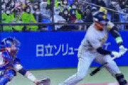 【動画】 阪神-ヤクルト戦いきなり誤審 「原口振ってないだろ！」阪神ファン発狂 ⇒ 白井球審に慰められる異常事態 「誤審認めてるやんｗｗ」