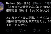 【悲報】渋谷から人が消えた結果→とんでもない生物が走り回る事態に