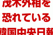 【画像】韓国の中央日報が茂木外相にとんでもない嫌がらせをしていた！　意味不明のイラストで愛国心を発揮！　どんだけ恐れてるんだよ…