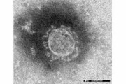 【衝撃】いま日本全国で確認されているコロナは新しいタイプだと判明