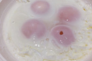 電子レンジで目玉焼き作ったんやが評価してくれ